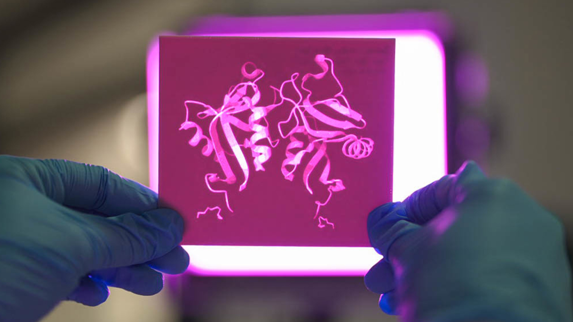 A 3D printed stencil of the DECTIN-1 protein