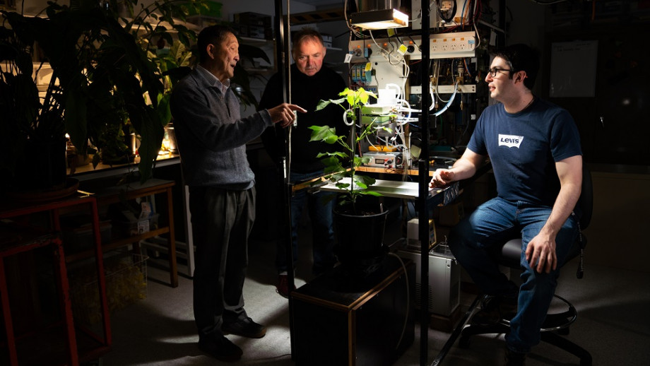 Three men looking at a plant under a lamp in a lab