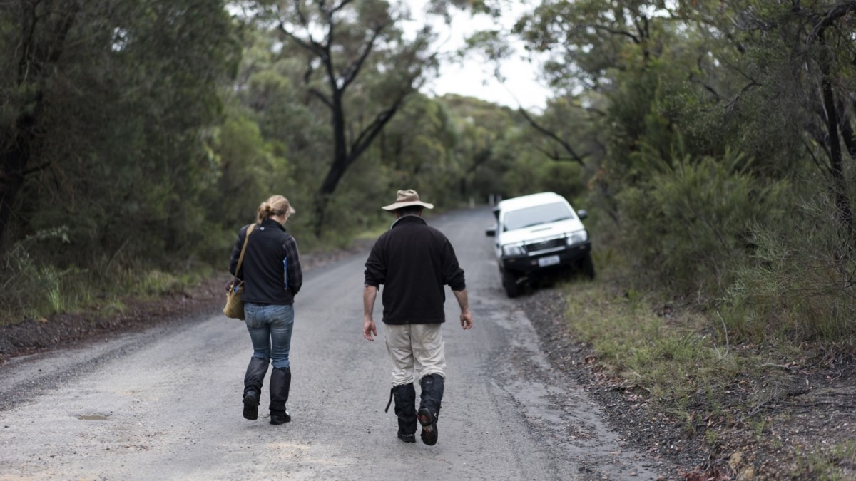 Professor David Lindenmayer and Clare Crane carry out animal trapping at Booderee National Park
