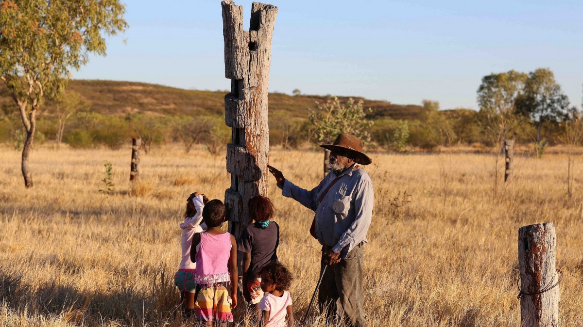 An elder points to a carved tree trunk in a paddock, while a group of small children look on