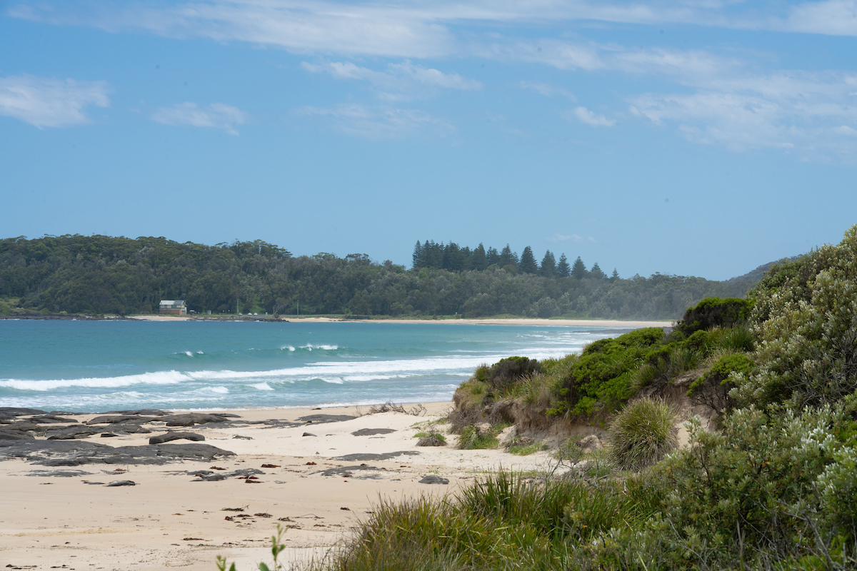 Photo: Nic Vevers/ANU Seaside Kiama