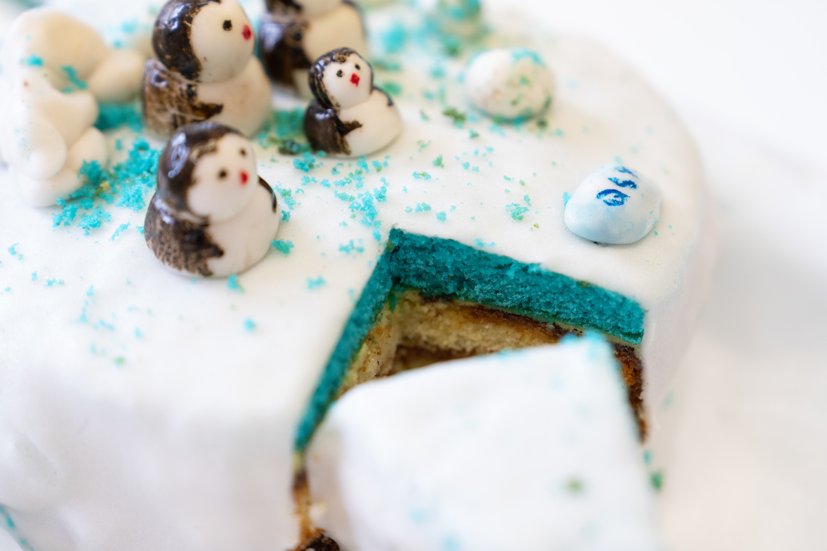 Ammu Sanjayan's polar ice cake. Photo: Nic Vevers/ANU Penguin cake