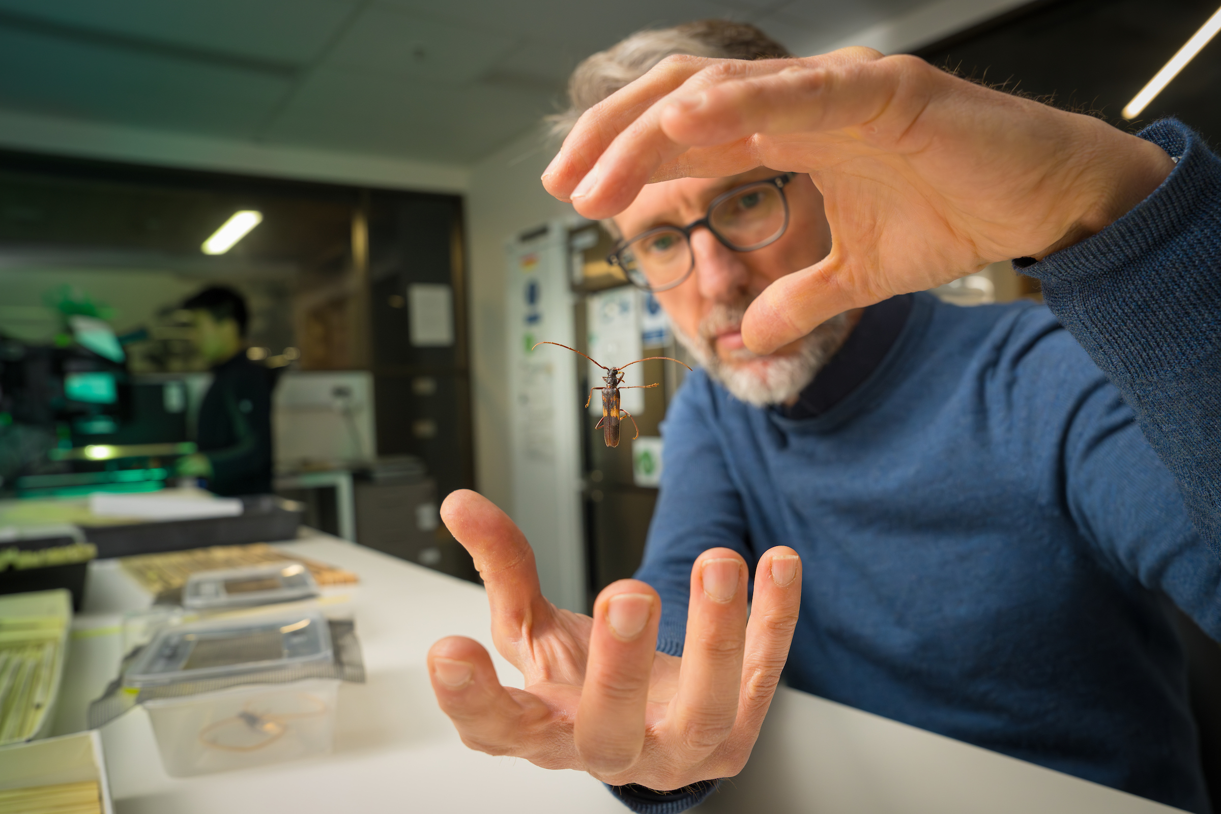 A man in a laboratory is holding a beetle between his hands. The beetle looks like it is suspended in air.