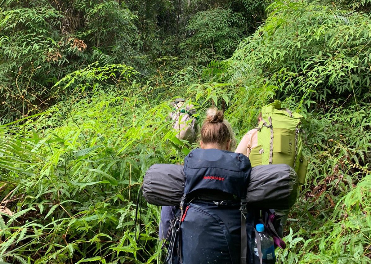 Putting the work in field work. Image: Hannah Carle, supplied People hiking with full packs through a green jungle
