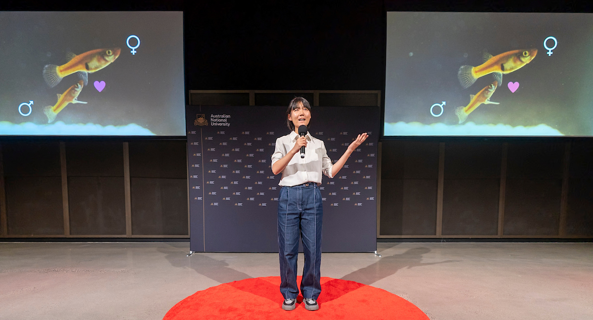 Chenke Zang presents at the 2025 ANU 3MT finals. Photo: The Australian National University Speaking on stage