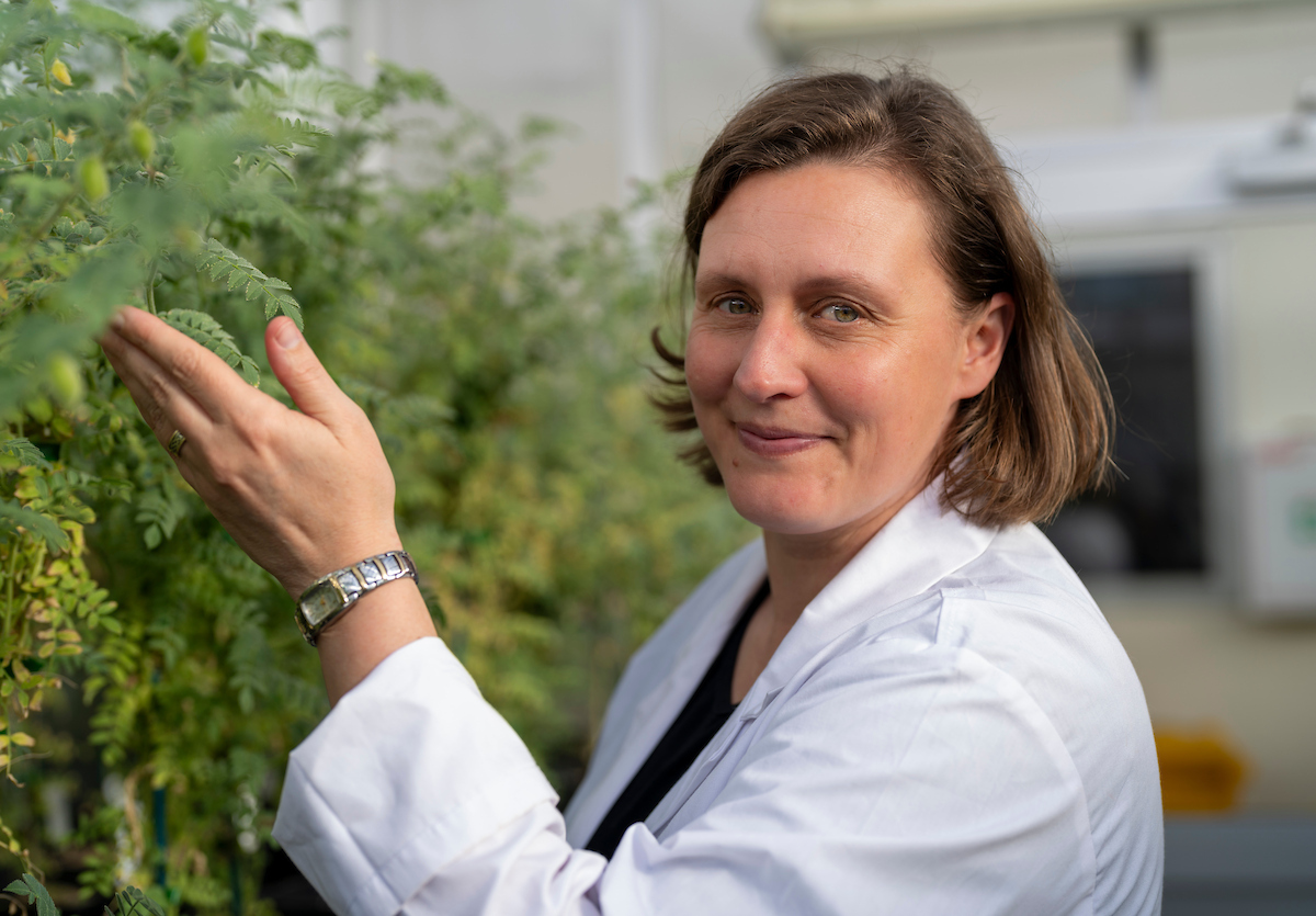 Professor Caitlin Byrt. Photo: Jamie Kidston/ANU Headshot of a woman in a lab coat with plants