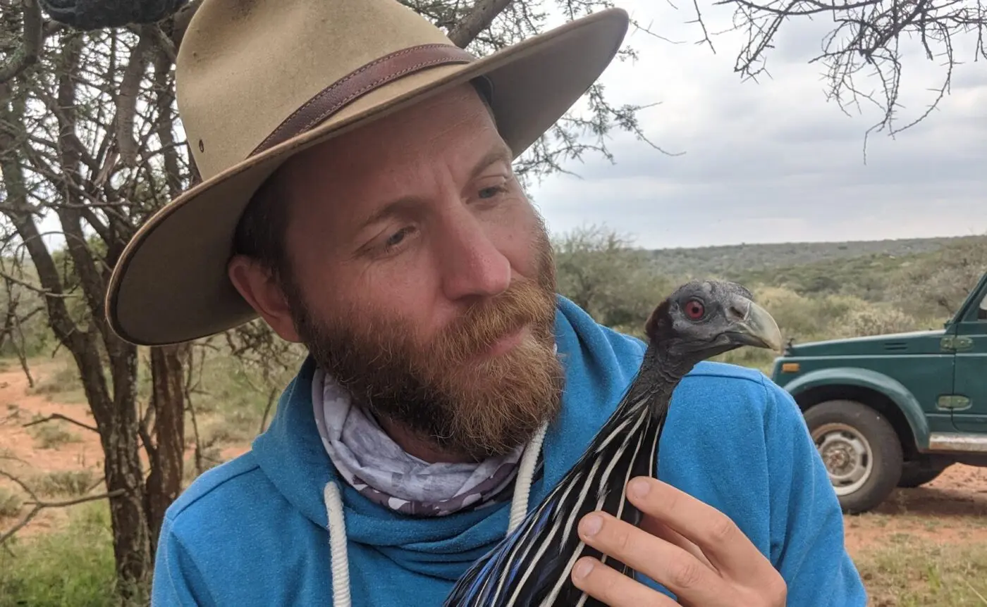 Associate Professor Damien Farine. Photo: supplied by Associate Professor Farine Man with a guinea fowl
