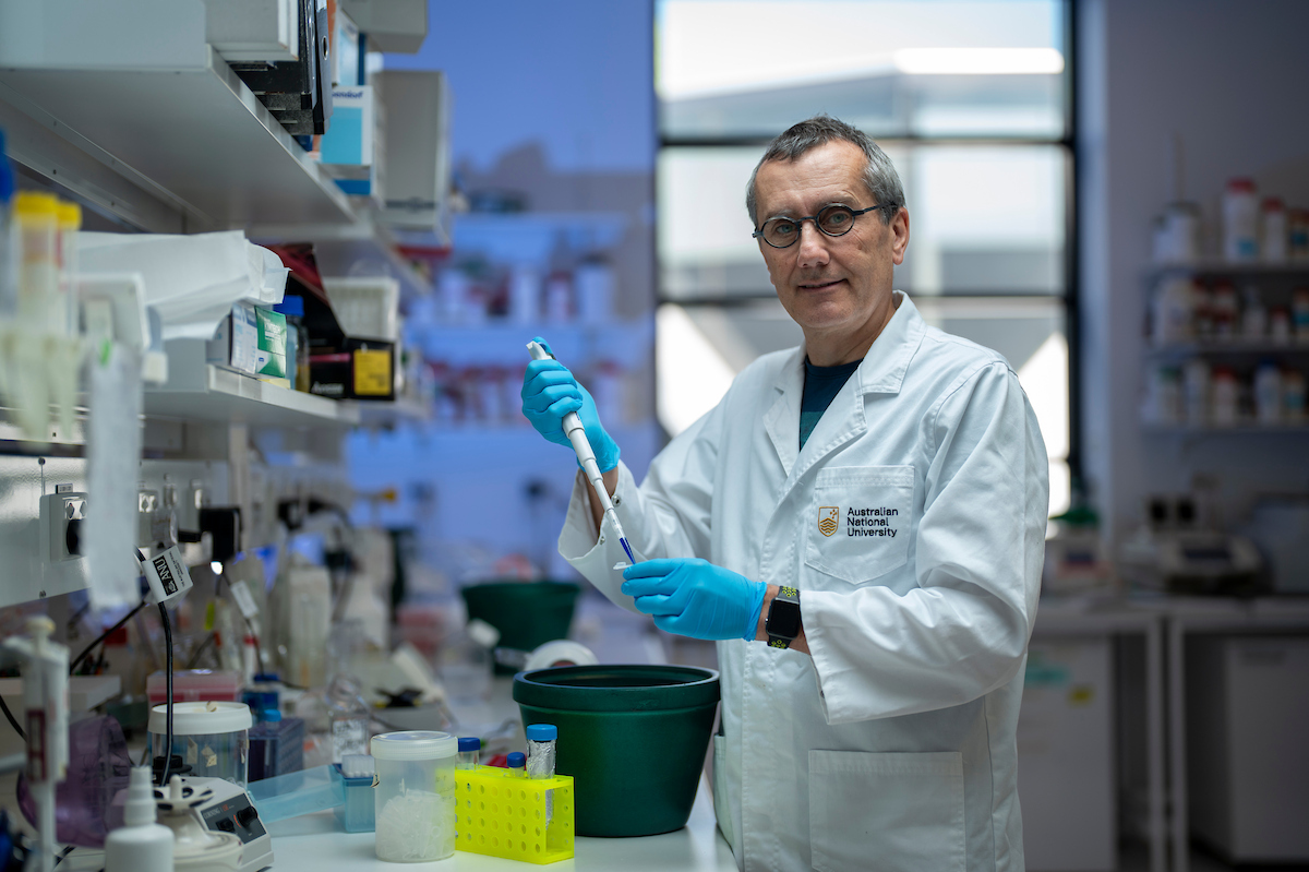 Professor Thomas Preiss. Photo: Jamie Kidston/ANU Professor Thomas Preiss pipetting inside a medical research laboratory