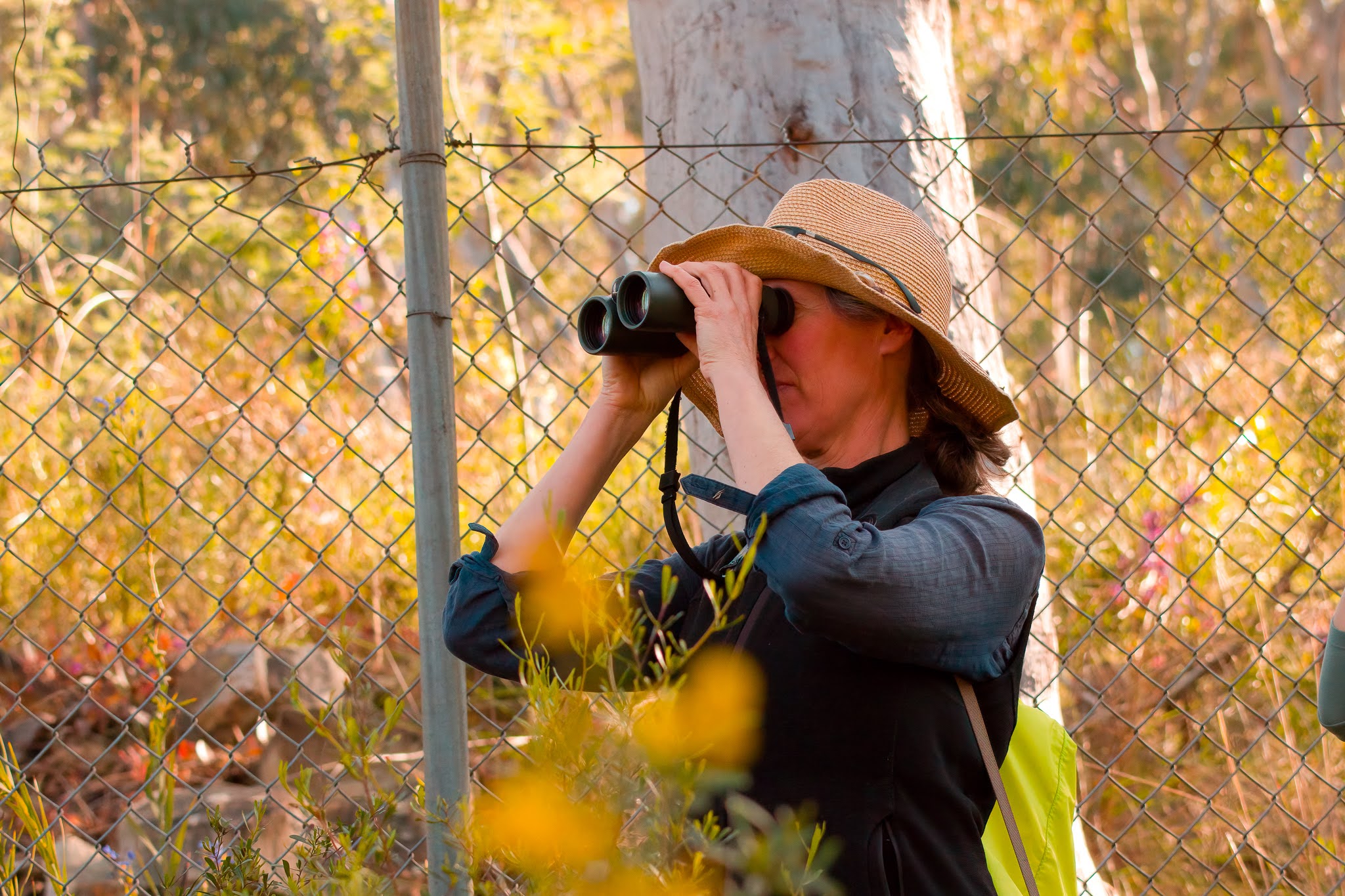 Photo: Olivia Congdon/ANU Woman looking through binoculars