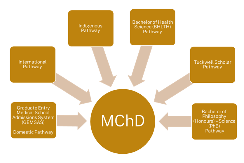 Graph showing the MChD pathways