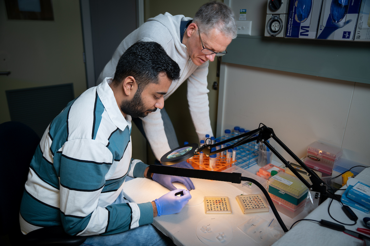 Physicists Shankar Dutt and Professor Patrick Kluth. Photo: Jack Fox/ANU Scientists in lab