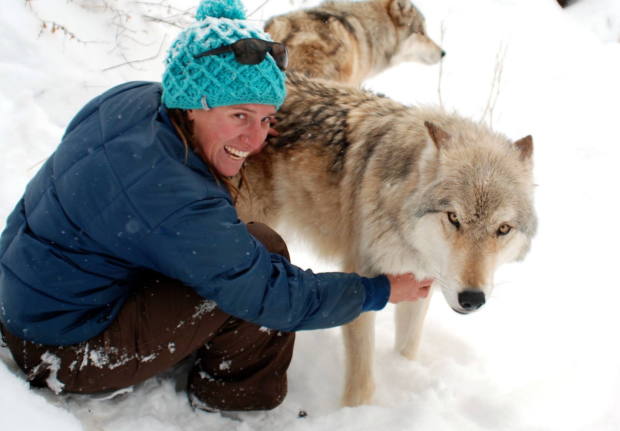 Photo: Pele Cannon, supplied Woman and wolves in snow