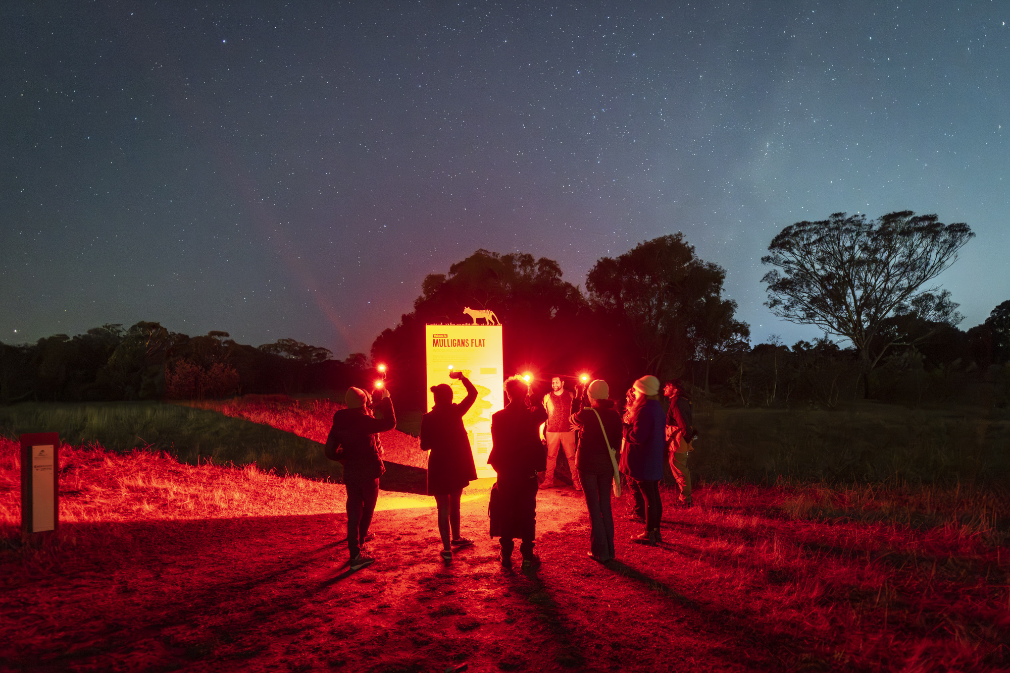 Photo: Ari Rex, supplied Red torch light adn people