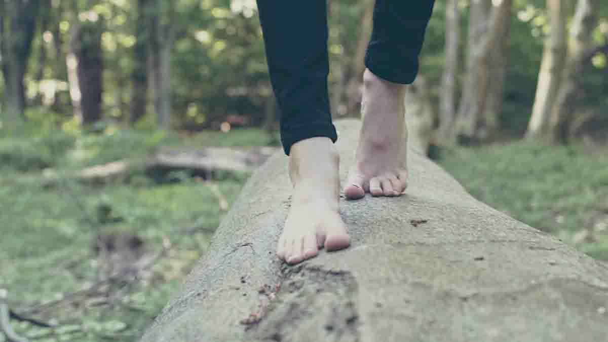 Carbon footprint challenge Carbon footprint challenge