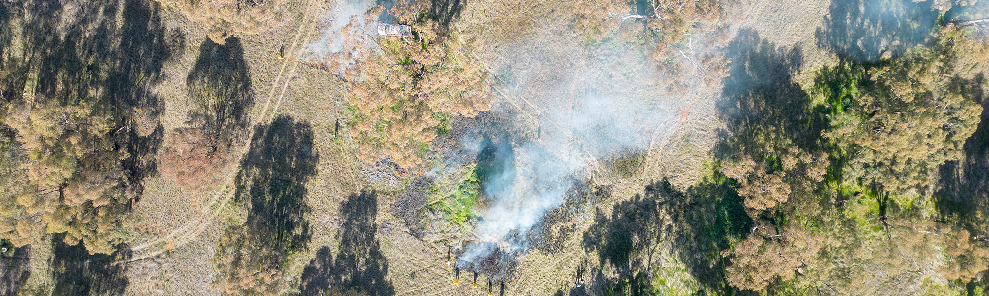 Aerial photo of cultural burning