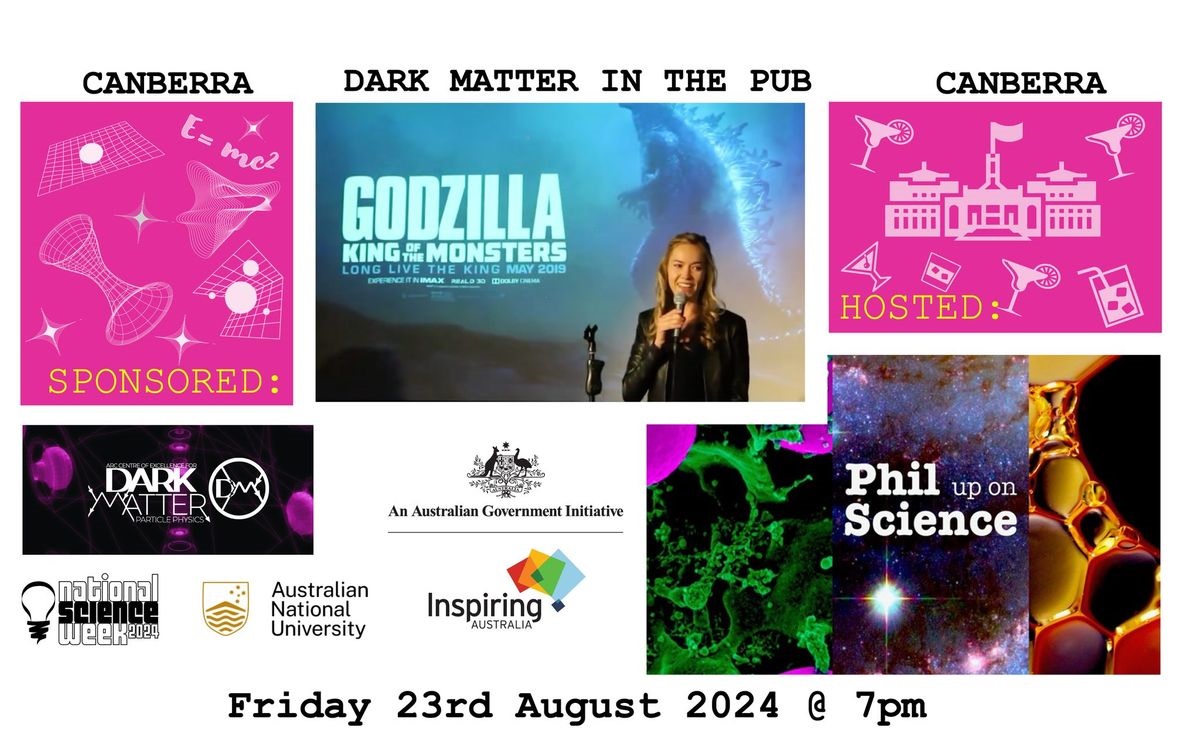 Dark matter in the pub event