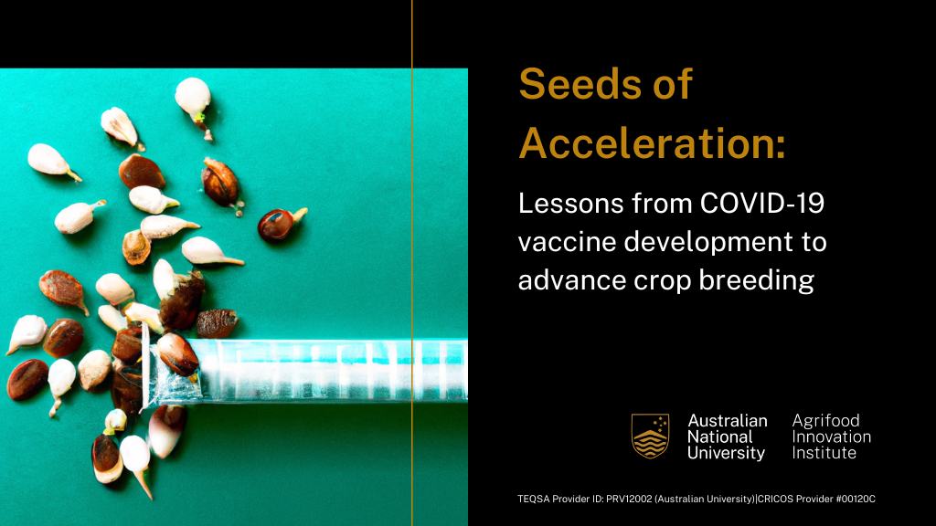 Seeds of acceleration
