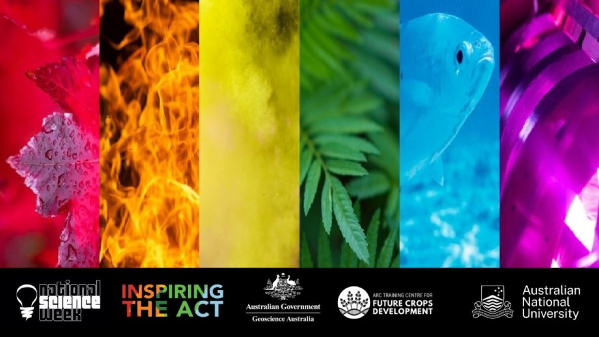 A series of vibrant vertical panels depicting elements of nature in various colors, featuring a red leaf with droplets, yellow flames, a green cannabis leaf, a blue fish, and a purple crystal.