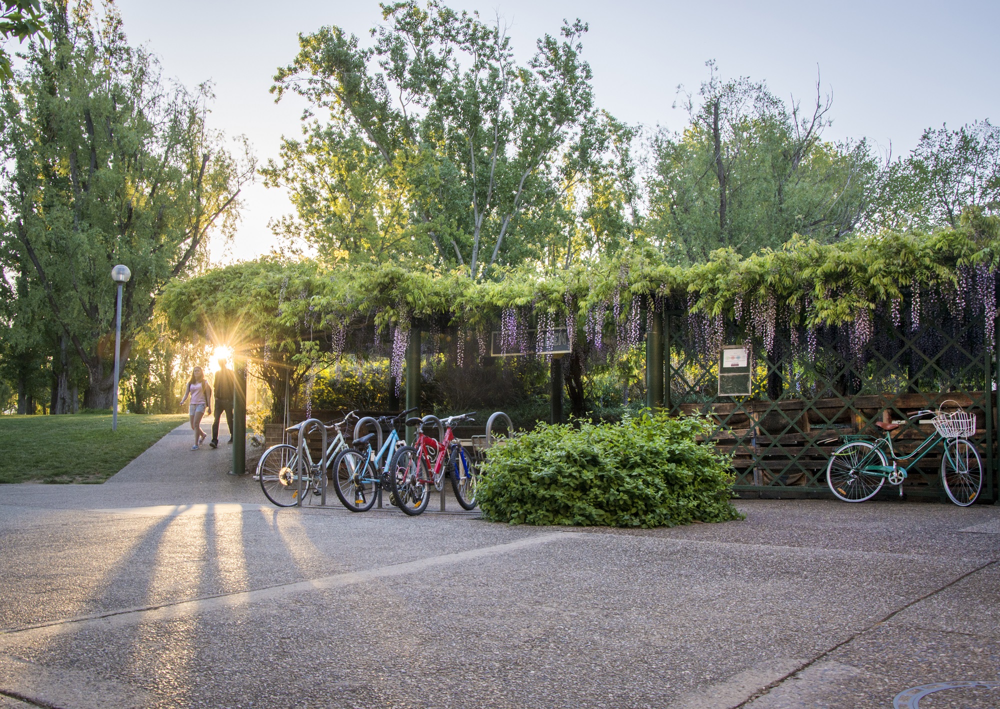 The Garden, ANU