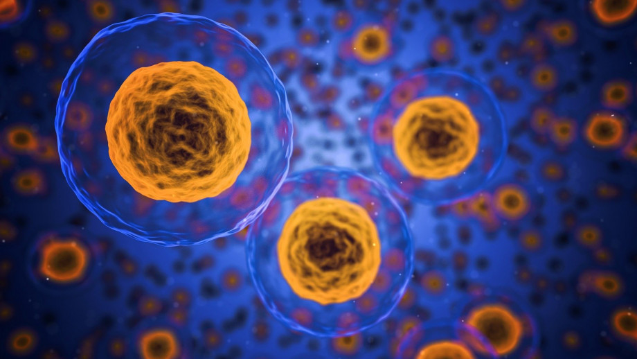 Illustration of multiple brightly colored cells with visible nuclei, surrounded by a translucent membrane, against a dark blue background with numerous smaller cells.