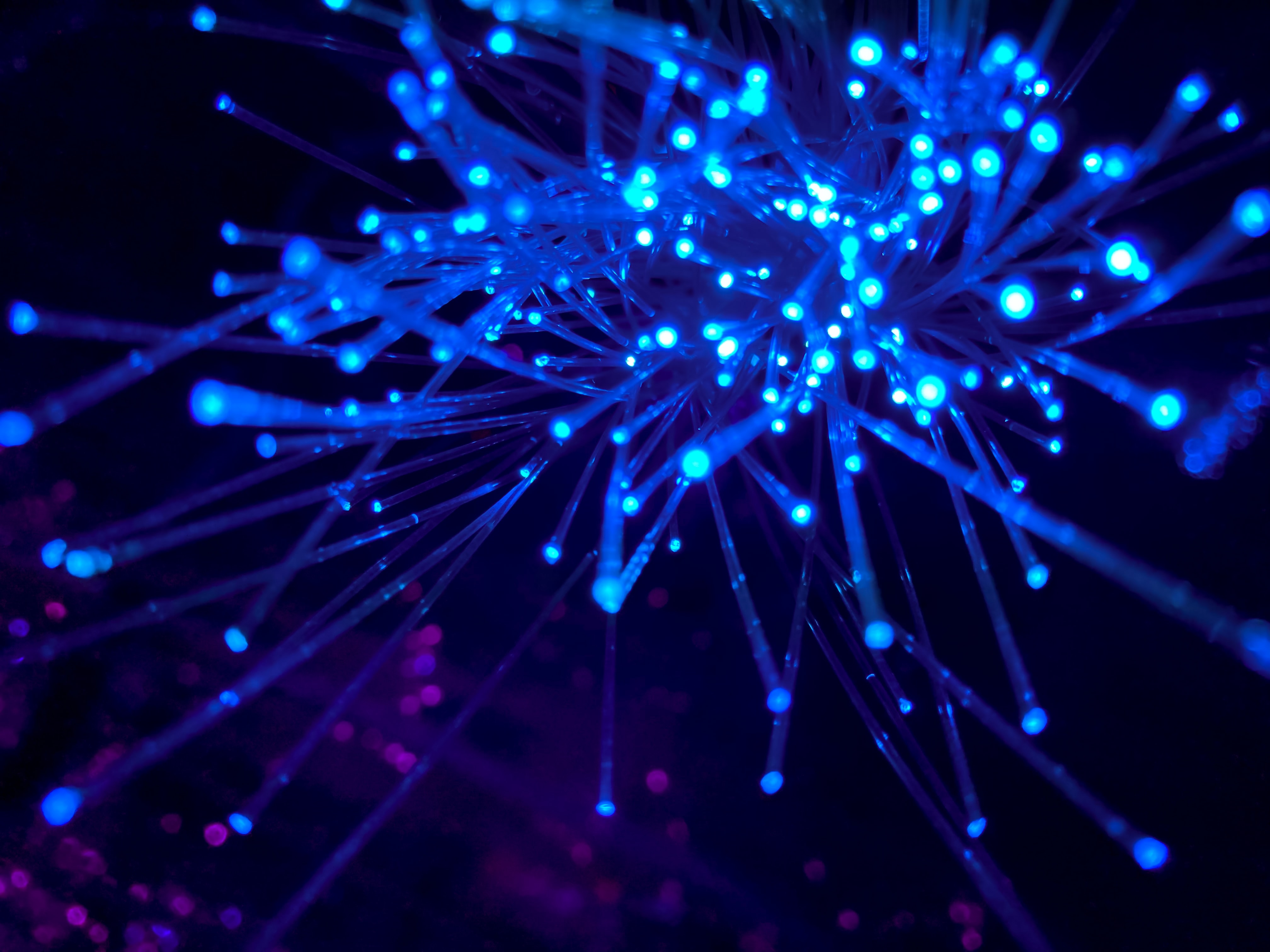 A close-up of a glowing blue fiber optic light display spreading out in multiple directions.
