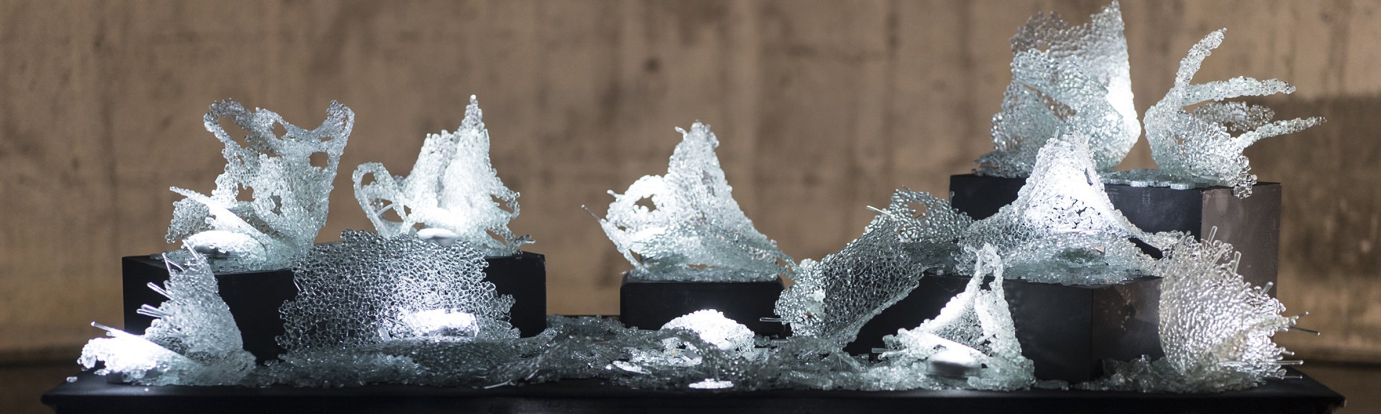 Glass artwork by Ngaio Fitzpatrick