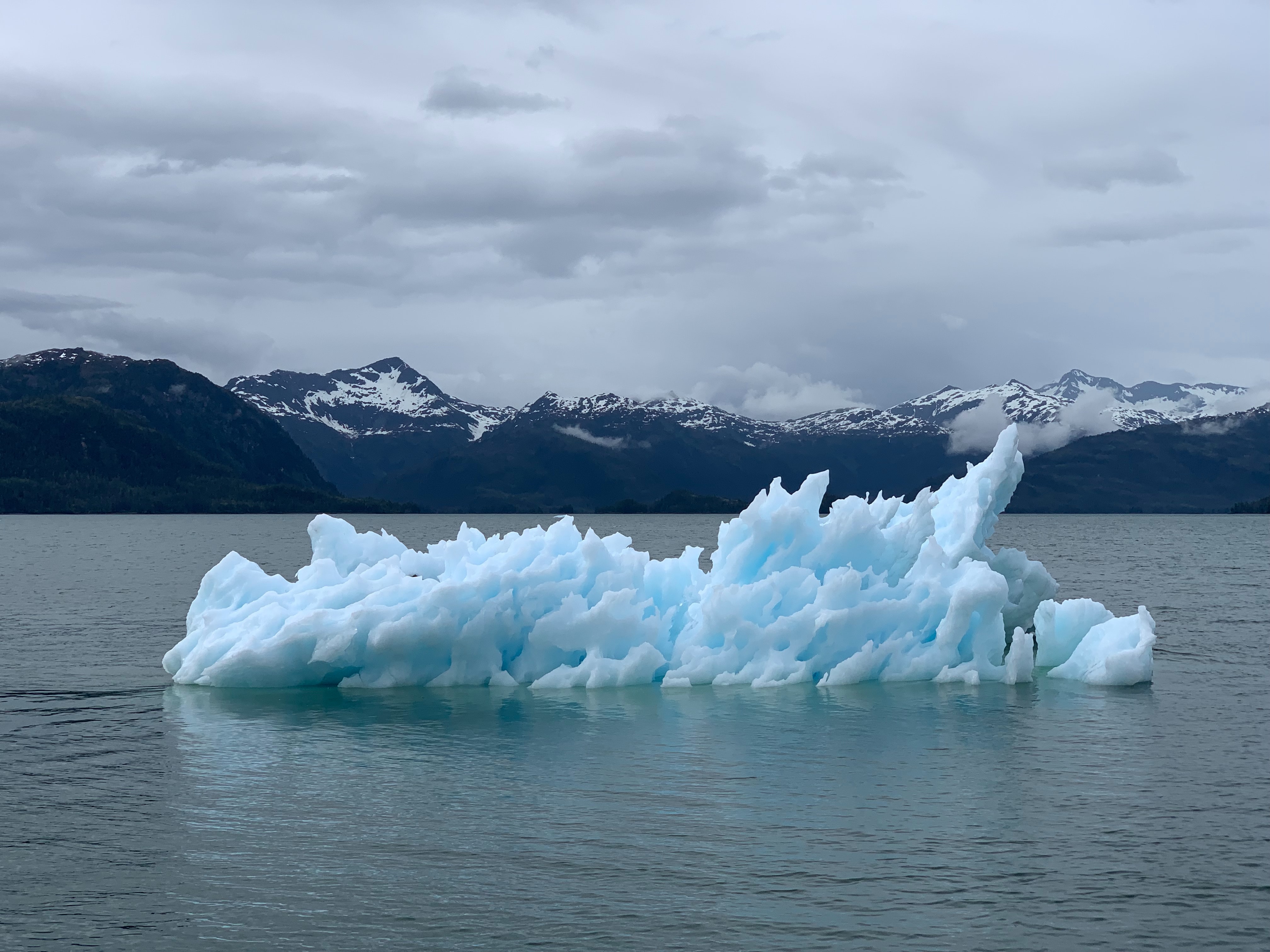 Photo: Melissa Bradley CC0 Iceberg in sea