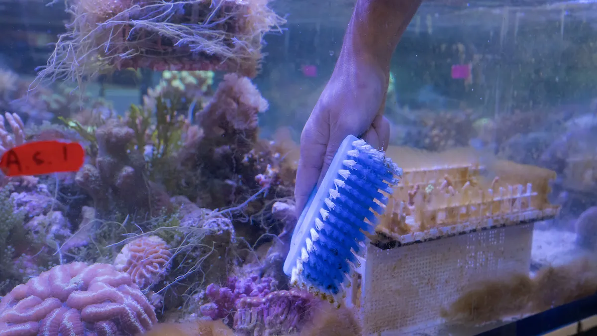 Scrubbing brush inside aquarium