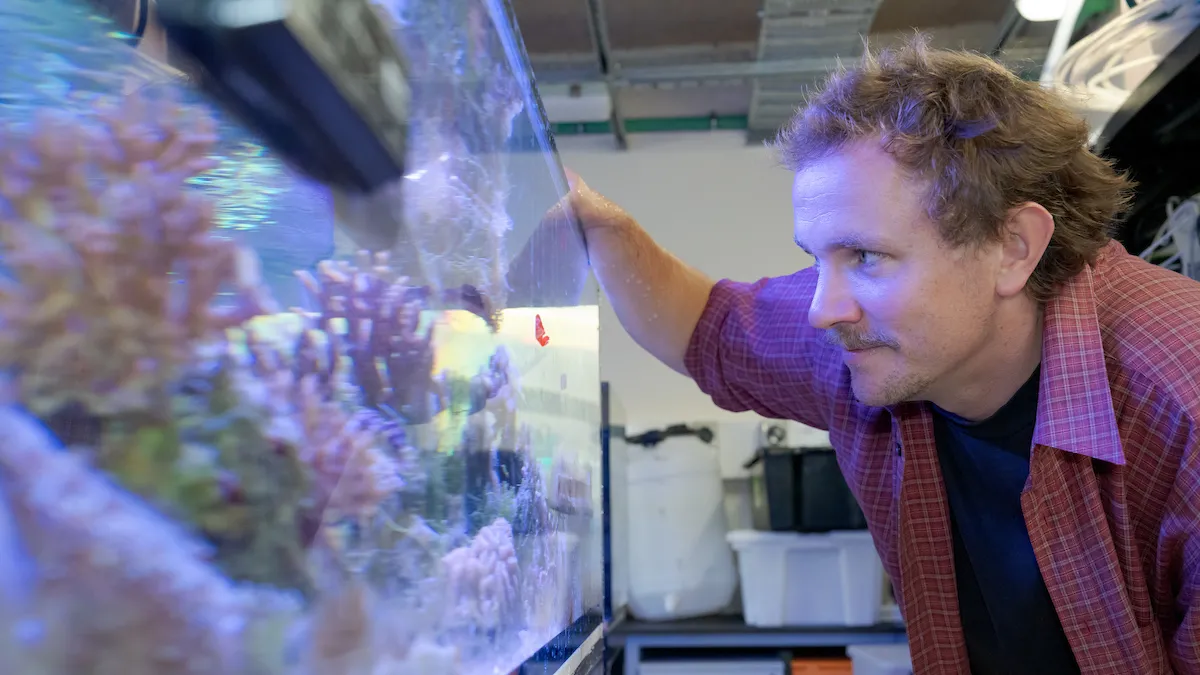 Man in front of aquarium