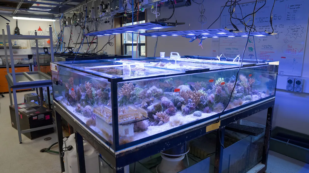 Large aquarium in lab