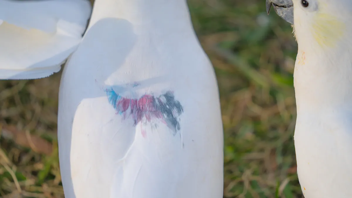 Close-up of a marked cockatoo