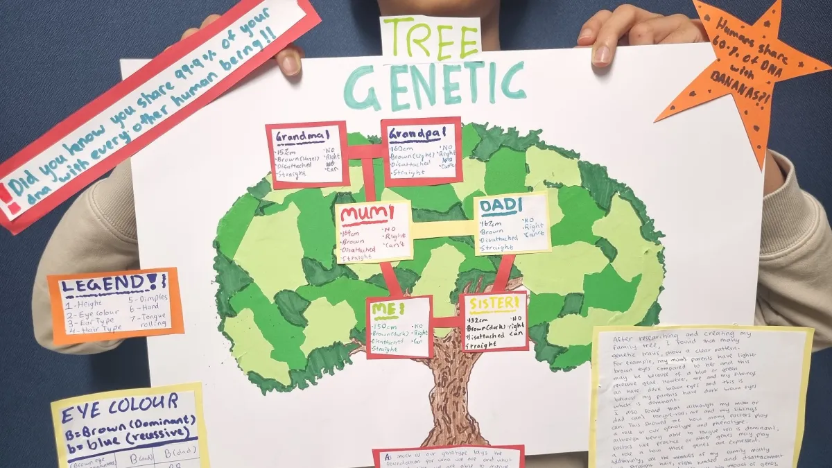 STEM Challenges 2025