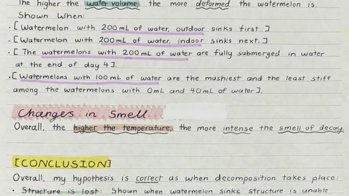 STEM Challenges 2024