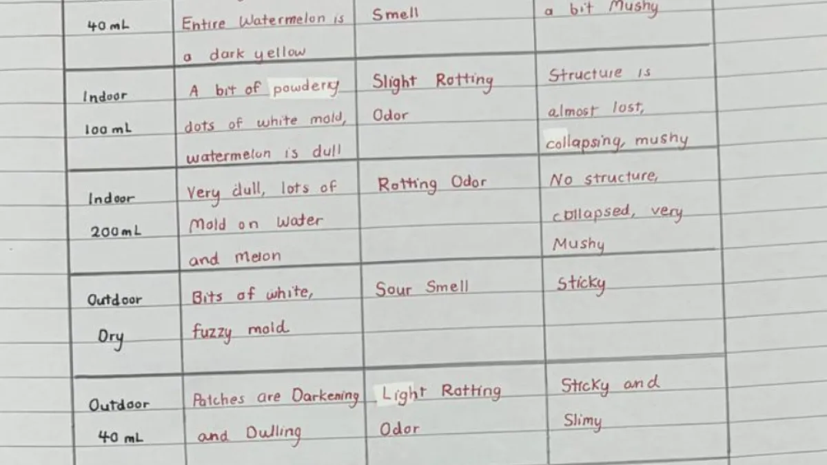 STEM Challenges 2024