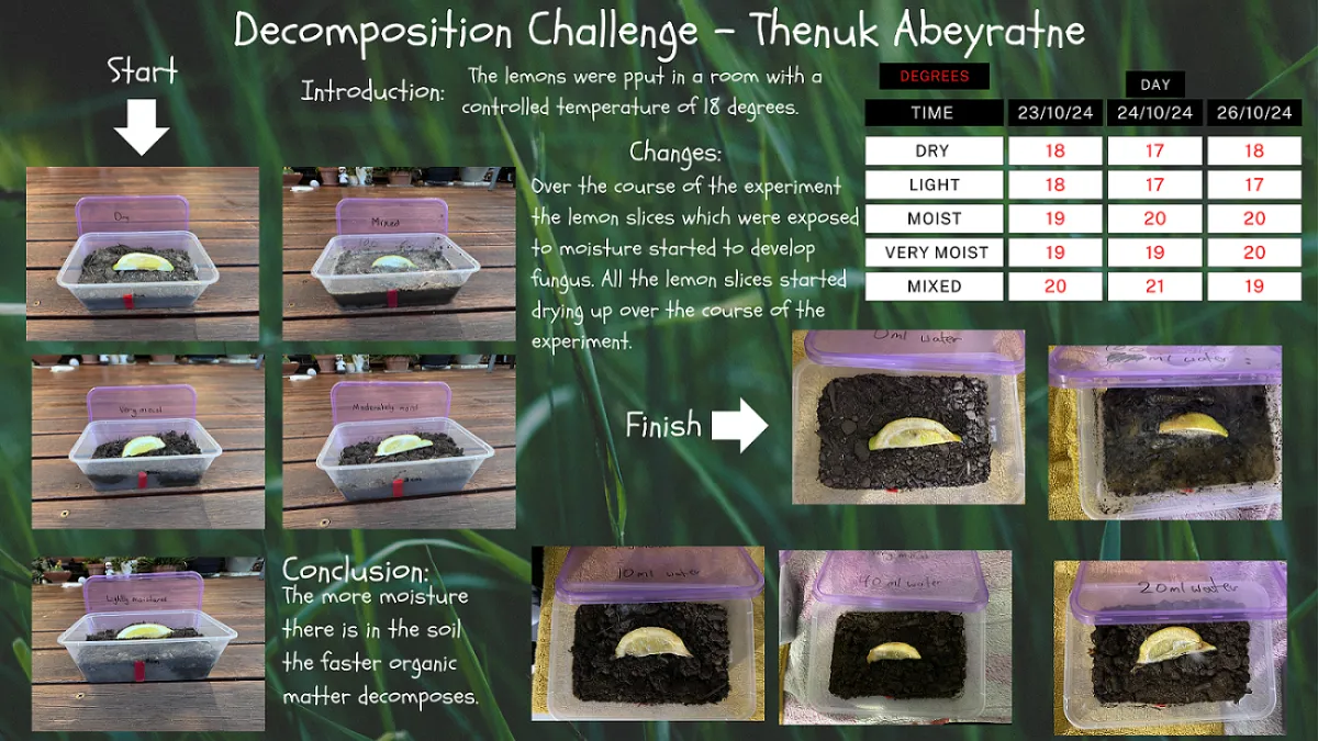 STEM Challenges 2024