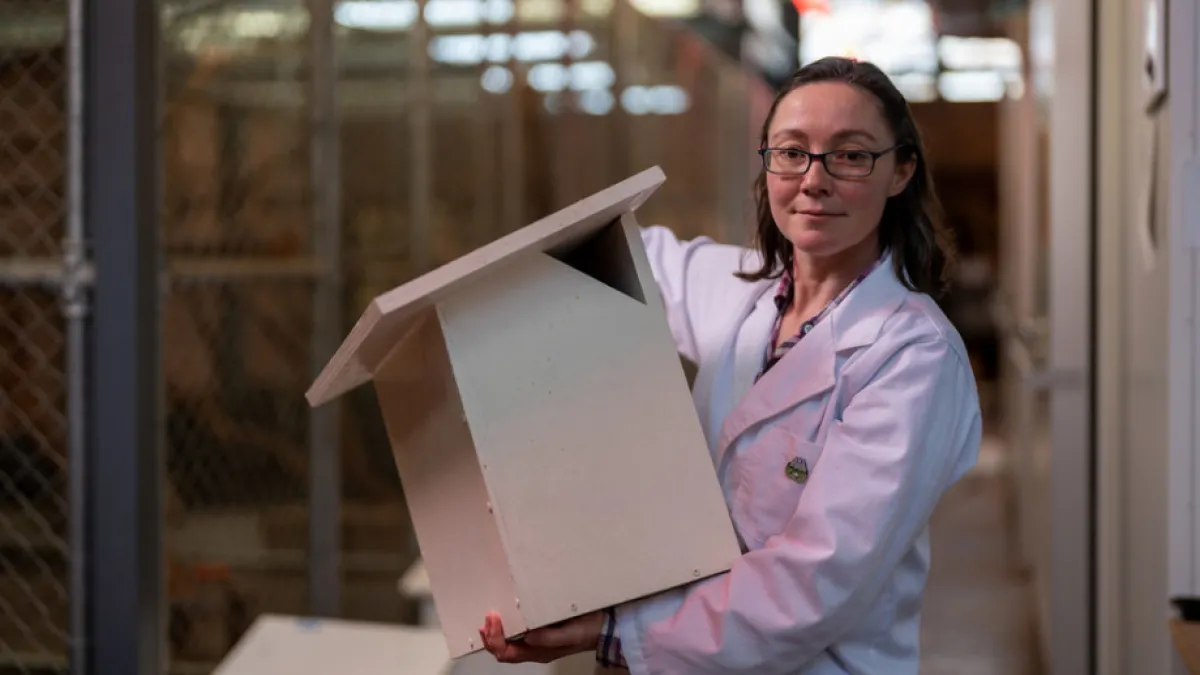 A researcher, wearing a lab coat, holds a large-ish painted wooden box with a lid.