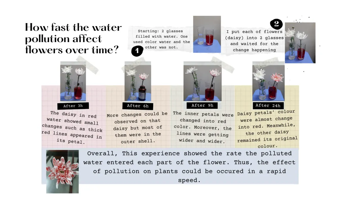 water pollution challenge week 2