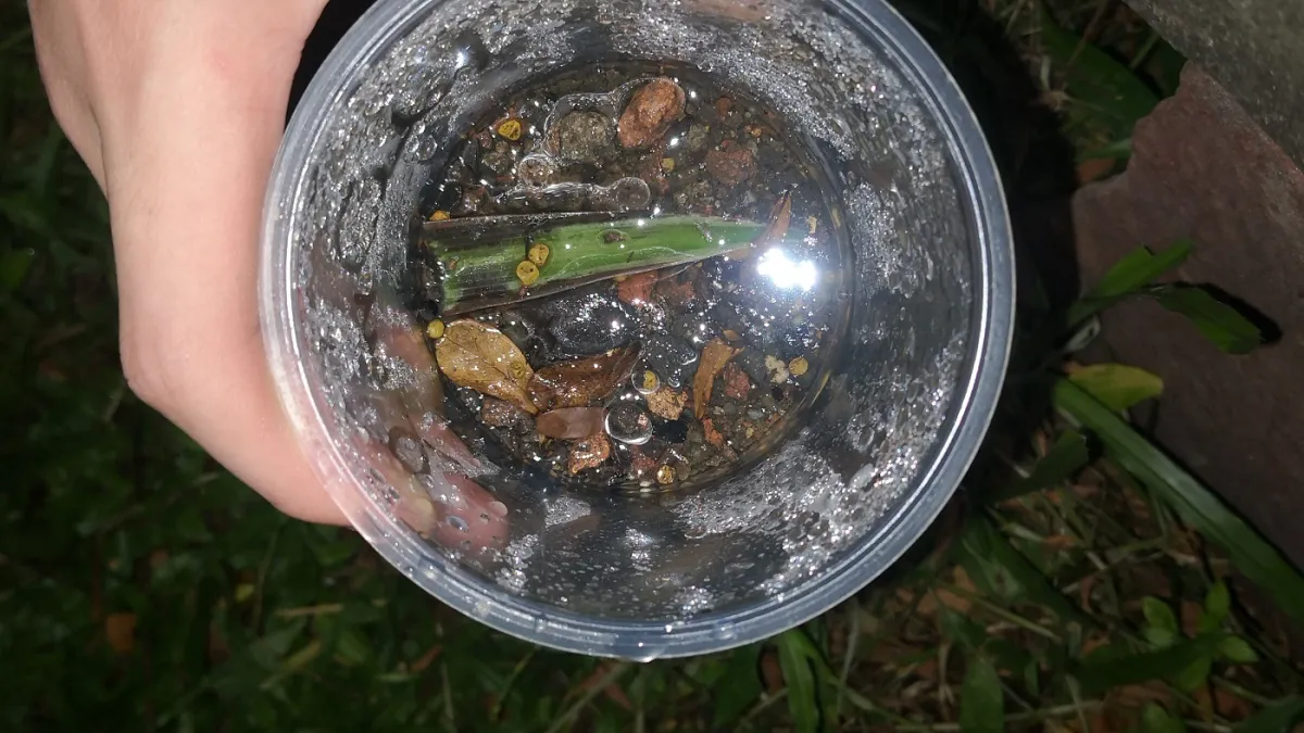 STEM Challenges 2024