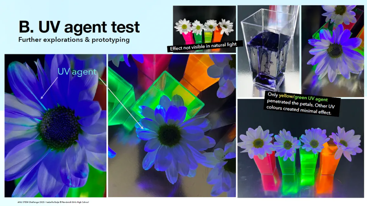 water pollution challenge winner 2