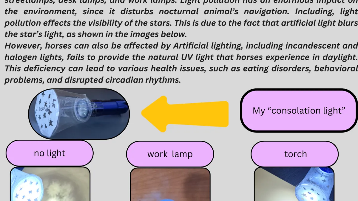 STEM Challenges 2024
