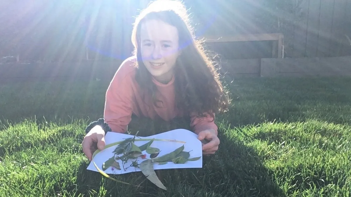 STEM challenges 2020