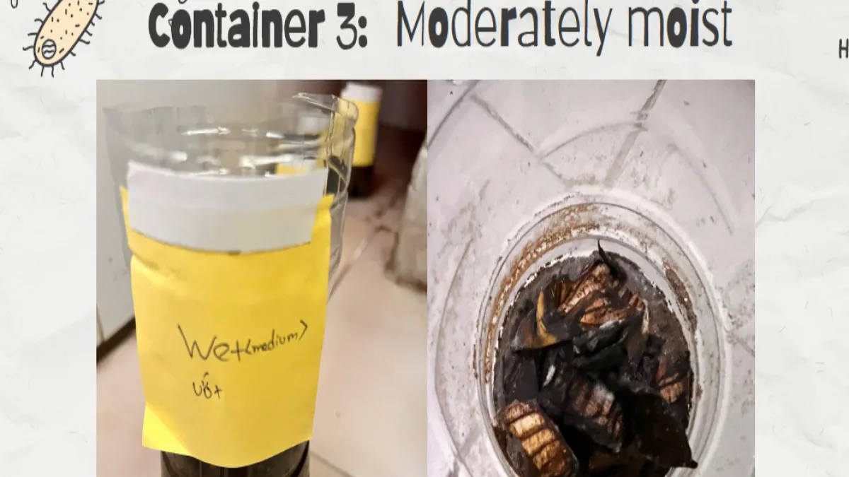 STEM Challenges 2024