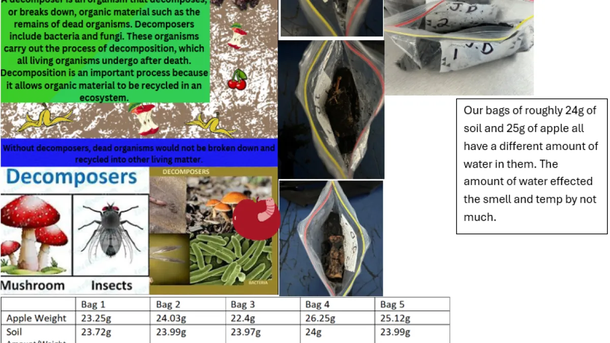 STEM Challenges 2024