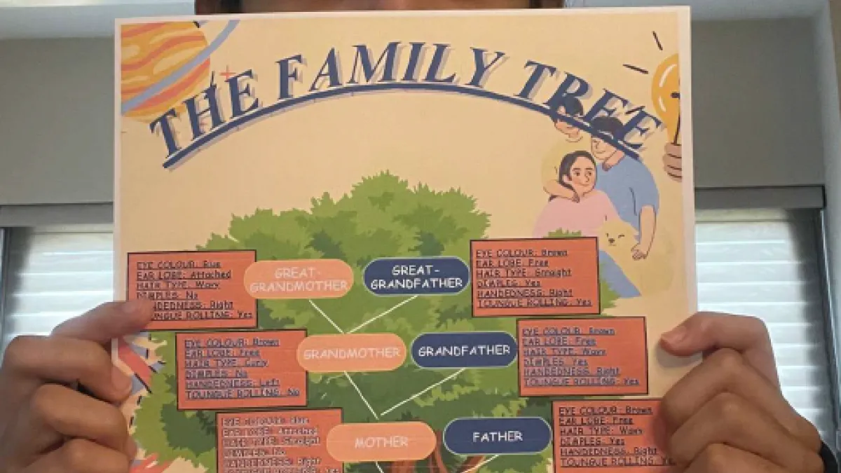 STEM Challenges 2025