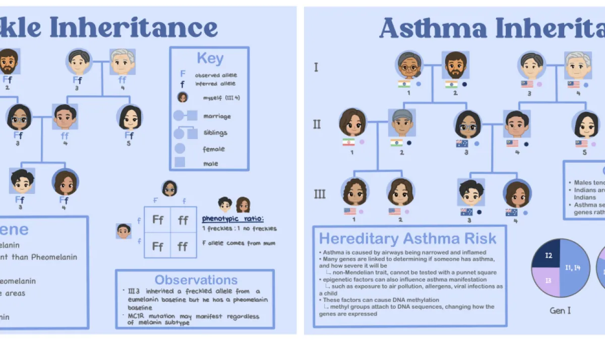 STEM Challenges 2025