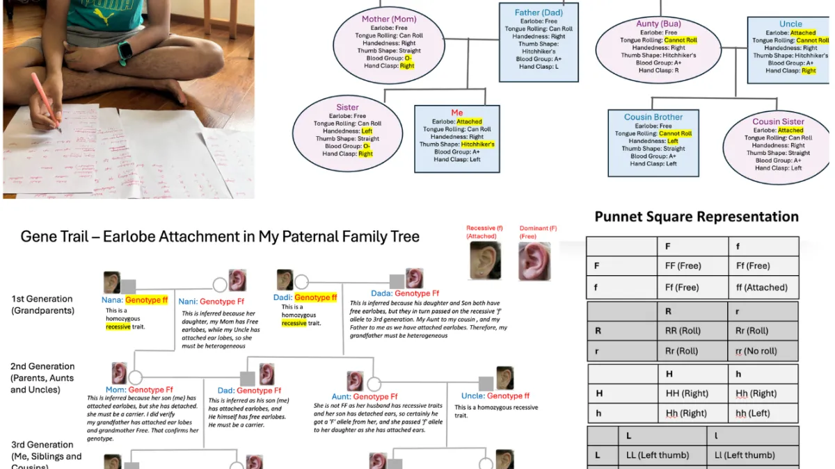 STEM Challenges 2025