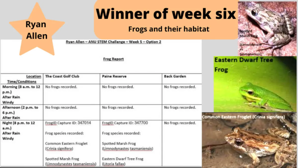 STEM challenges - week 6
