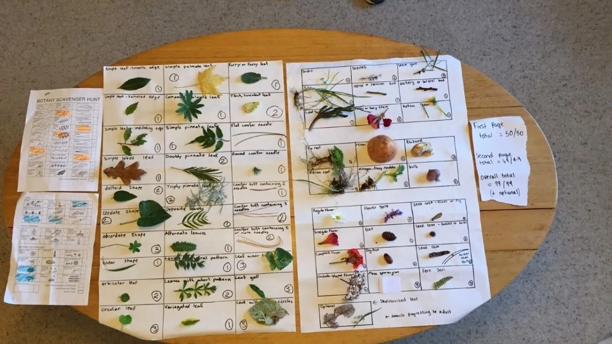 STEM challenges 2020