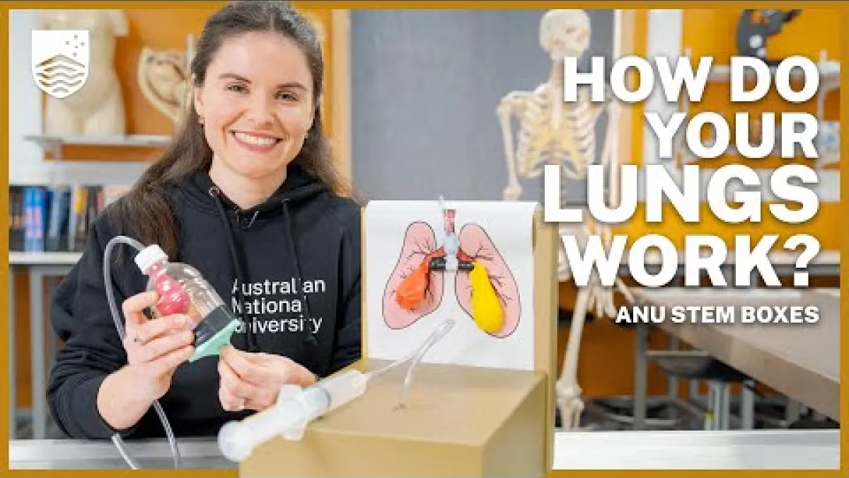 Preview image for the video "How to make a lung model".