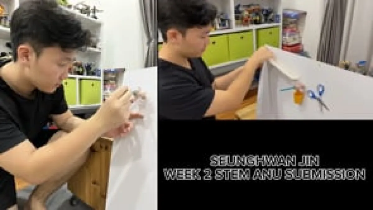 Preview image for the video "STEM Challenge Videos".